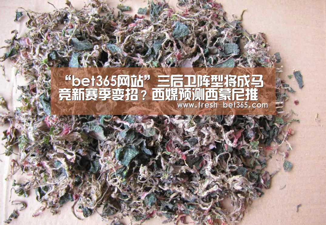 “bet365网站”三后卫阵型将成马竞新赛季变招?西媒预测西蒙尼推行新战术革命(图2) “bet365网站”三后卫阵型将成马竞新赛季变招?西媒预测西蒙尼推行新战术革命(图2)