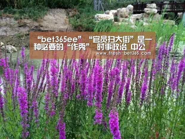 “bet365ee”“官员扫大街”是一种必要的“作秀”_时事政治_中公教育网(图1) bet365网站