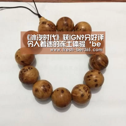 《冰汽时代》获IGN9分好评 令人着迷的冻土体验‘bet365ee’(图1)